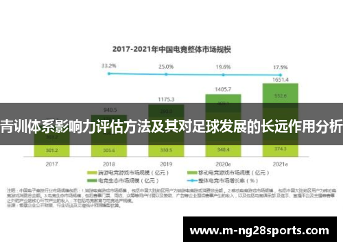 青训体系影响力评估方法及其对足球发展的长远作用分析