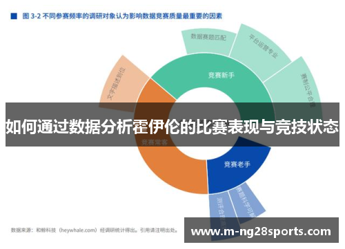 如何通过数据分析霍伊伦的比赛表现与竞技状态